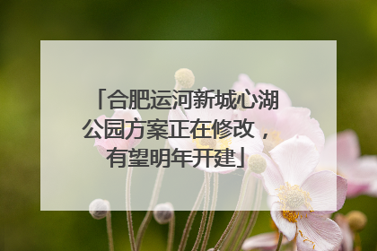 合肥运河新城心湖公园方案正在修改，有望明年开建